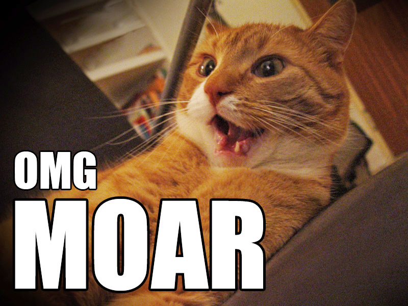 OMG Moar via https://catmacros.wordpress.com/tag/moar/